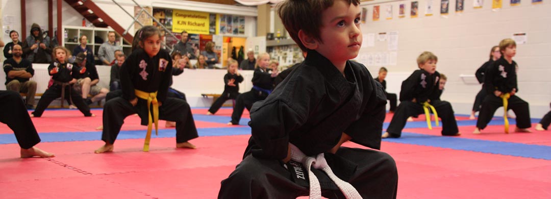 Family martial arts classes, Bury St Edmunds