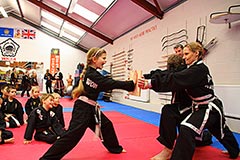 Martial arts for the whole family