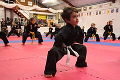 Kuk Sool lessons are dynamic, challenging and offer something for everyone
